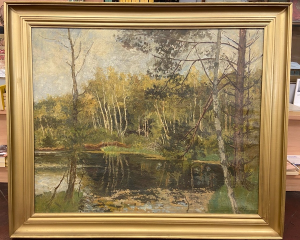Paesaggio boschivo