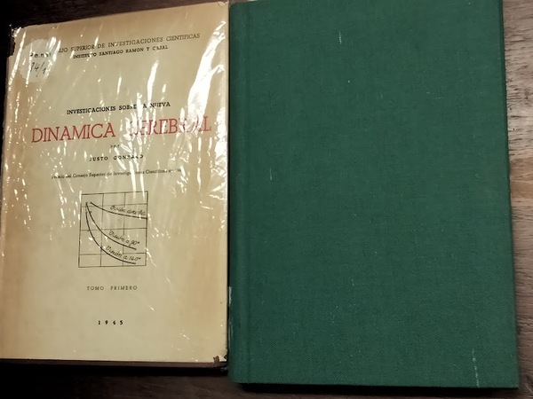 Investigaciones sobre la nueva Dinámica Cerebral. La actividad cerebral en …