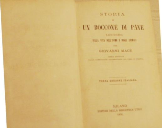 Storia di un boccone di pane. I servitori dello stomaco …