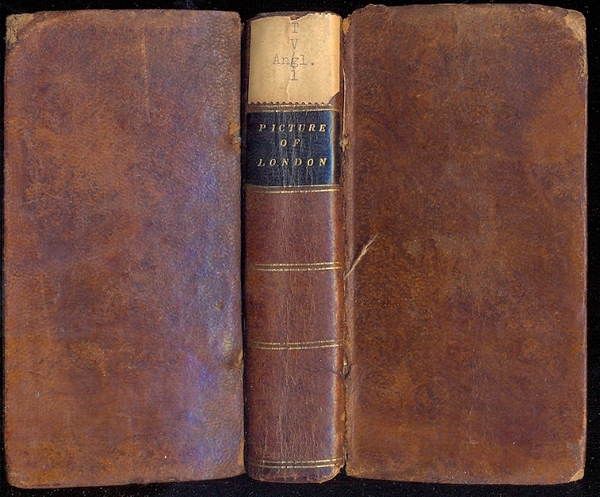 Tegg's new Picture of London; Or, a View of the …