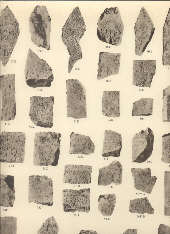 Corpus Inscriptionum Semiticarum ab Academia Inscriptionum et Litterarum Humaniorum conditum …