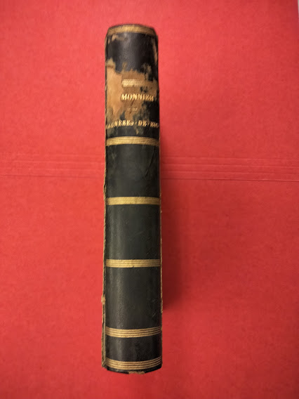 Bagneres de Bigorre. Sous le rapport medical et topographique et …