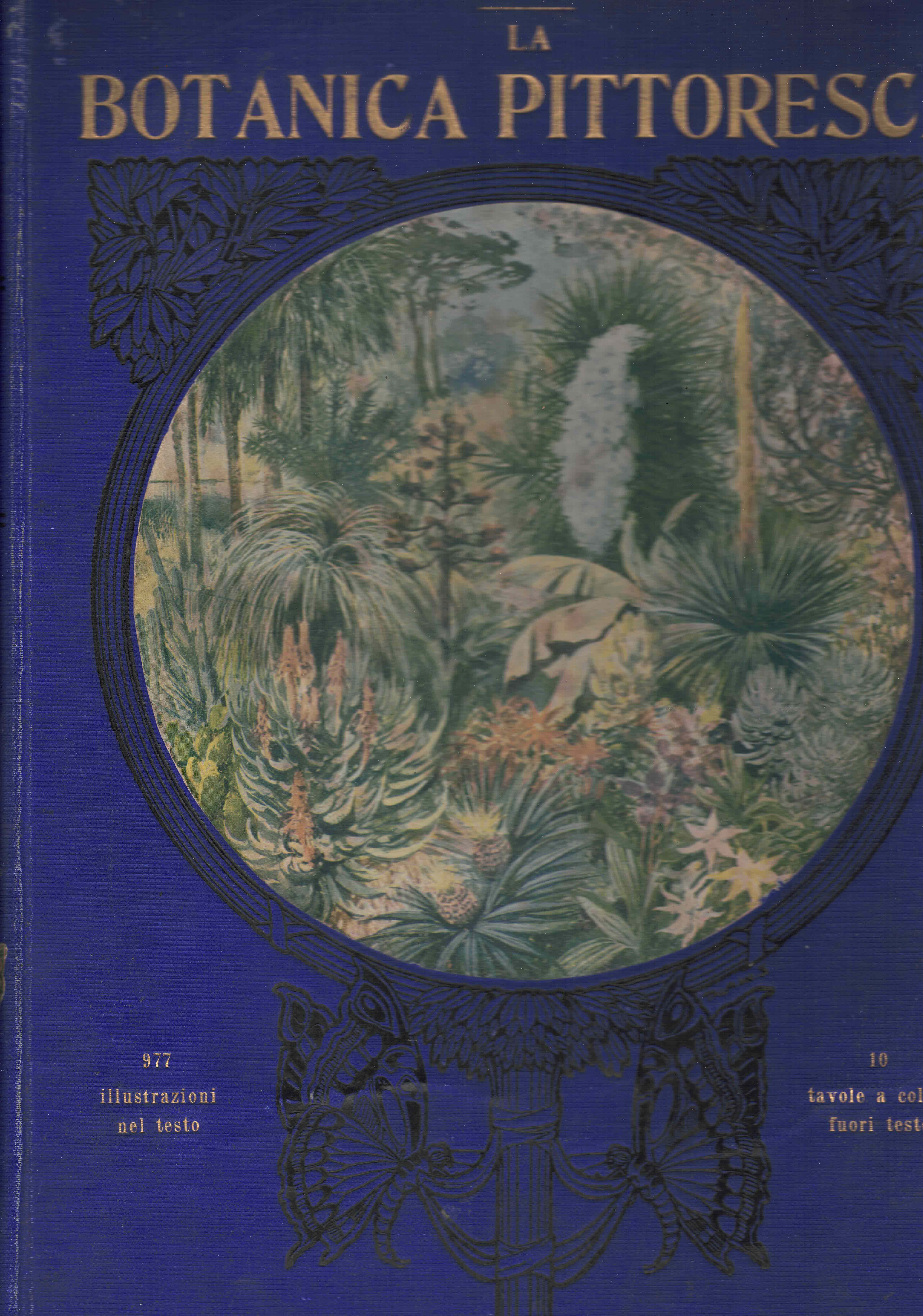 La botanica pittoresca. Esposizione biologica e sistematica del Regno Vegetale.