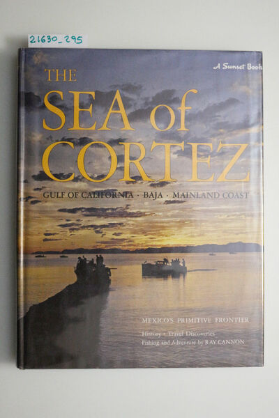 The sea of Cortez