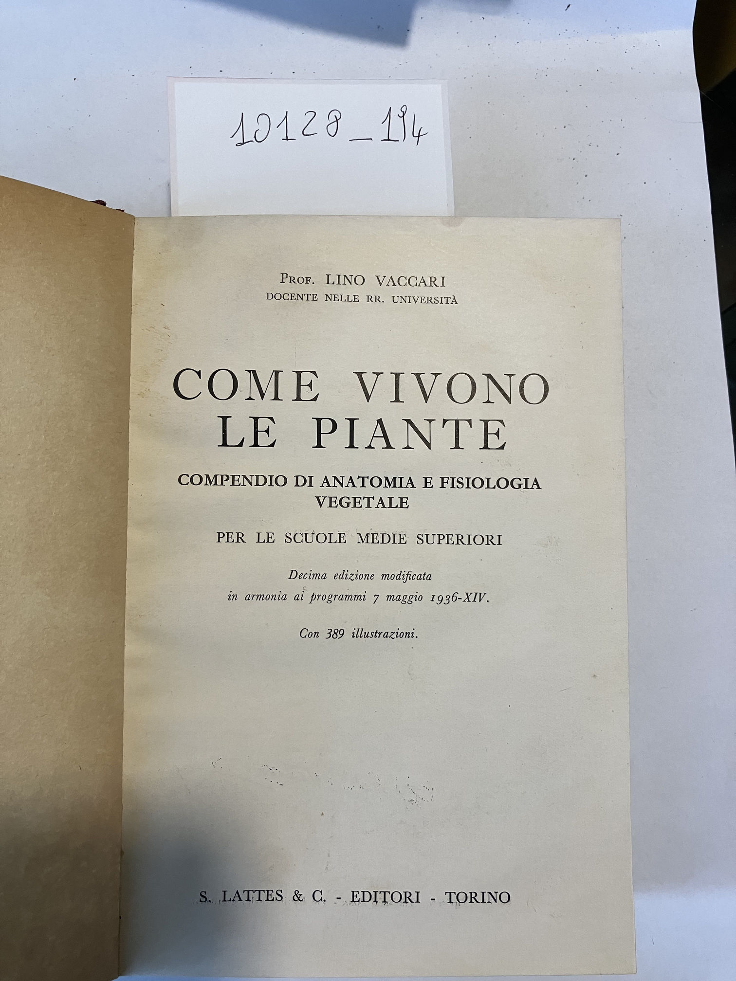 Come vivono le piante