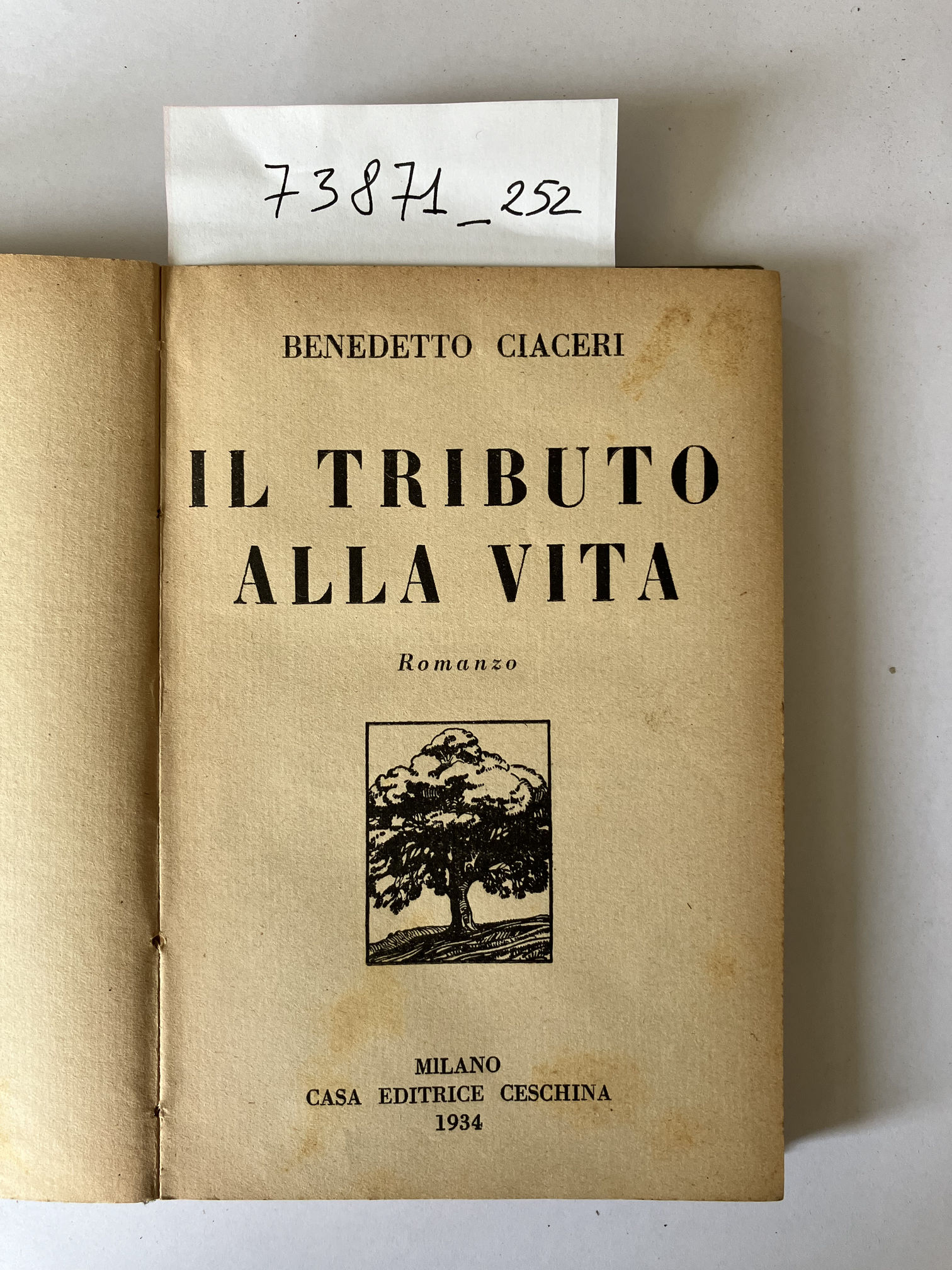 Il tributo alla vita