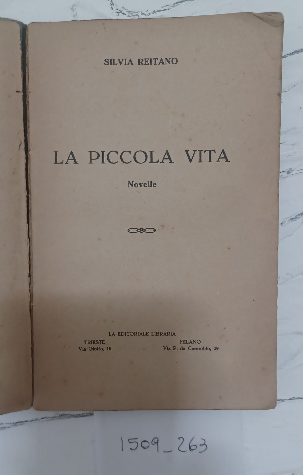La piccola vita