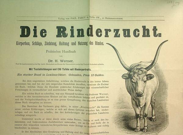 Die Rinderzucht. KÃ¶rperbau, SchlÃ¤ge, ZÃ¼chtung, Haltung und Nutzung des Rindes. …