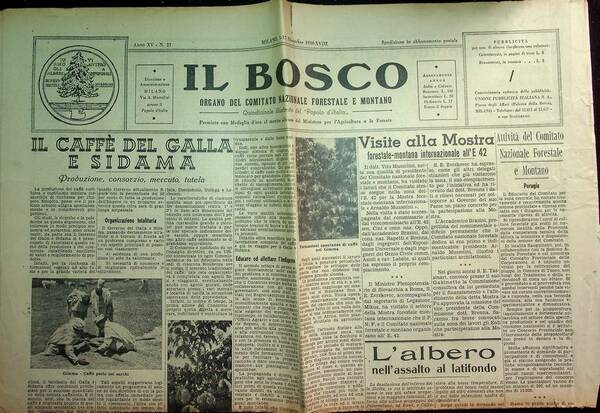 Il bosco: organo del comitato nazionale forestale e montano: quindicinale …