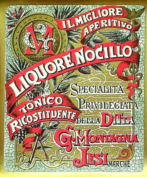 Il migliore aperitivo liquore nocillo: tonico ricostituente: specialitÃ privilegiata della …