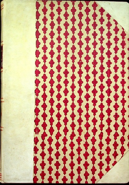 Studi trentini di scienze naturali: ANNO X: 1929.