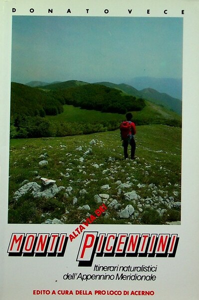 Alta via dei Monti Picentini: itinerari naturalistici dell'Appennino Meridionale.