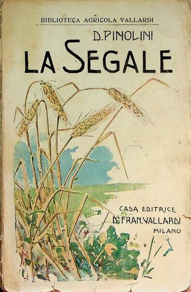 La segale e la sua coltivazione.