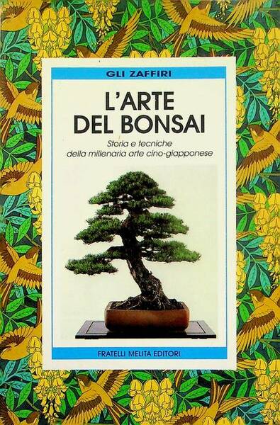 L'arte del bonsai: storia e tecniche della millenaria arte cino-giapponese.