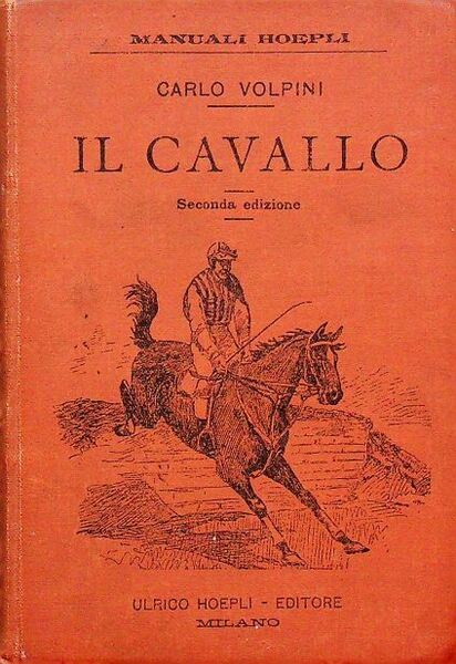 Il cavallo.