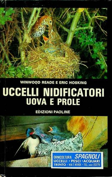 Uccelli nidificatori: uova e prole.