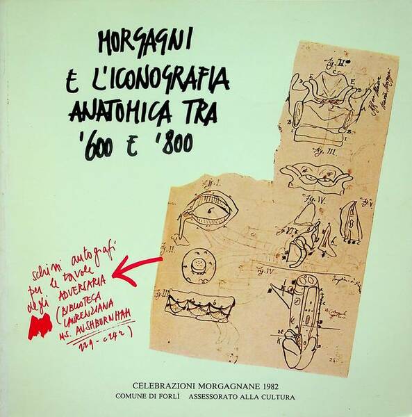Morgagni e l'iconografia anatomica tra '600 e '800: Palazzo Albertini, …