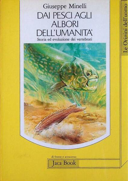 Dai pesci agli albori dell'umanitÃ : storia ed evoluzione dei …