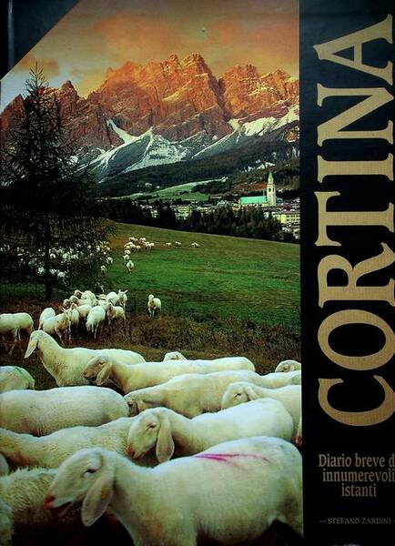 Cortina: diario breve di innumerevoli istanti.