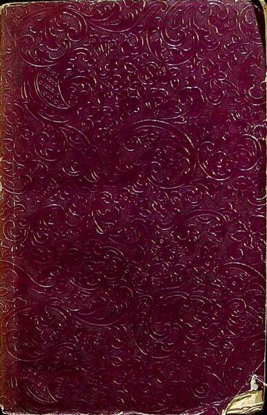 Manuale dantesco ad uso della gioventÃ¹: operetta.