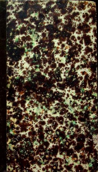 Novelle edite ed inedite; Scritti intorno alla bellezza ed allo …