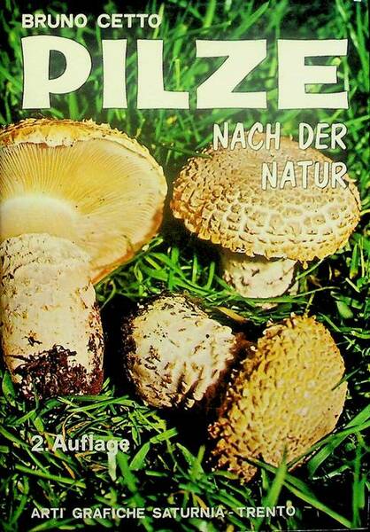 Pilze nach der Natur: 882 Pilze, 381 systematisch geordnete Pilzarten …