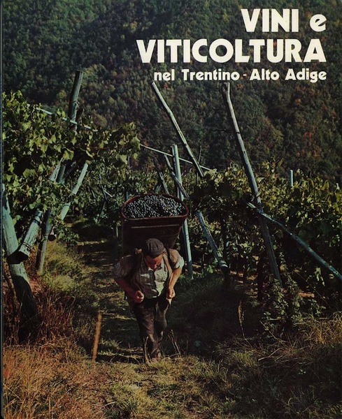 Vini e viticoltura nel Trentino-Alto Adige.