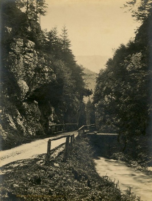 1685. SaurÃ¼sselbrÃ¼cke, Nassthal.