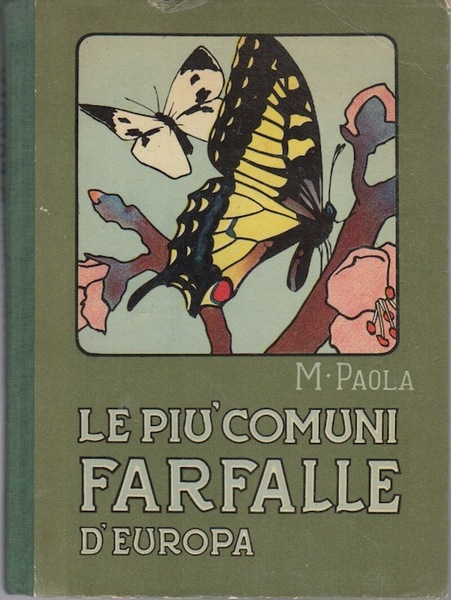 Le piÃ¹ comuni farfalle d'Europa: descrizione delle specie piÃ¹ notevoli …