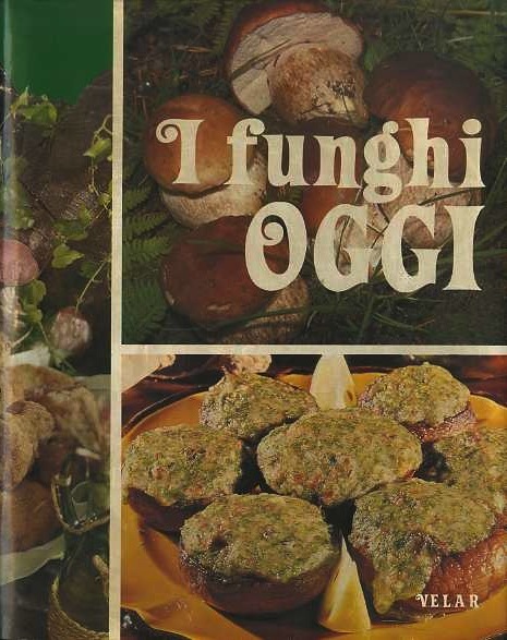 I funghi oggi.