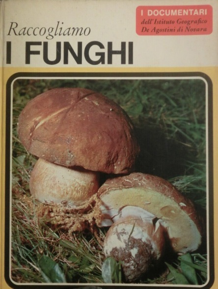 Raccogliamo i funghi.