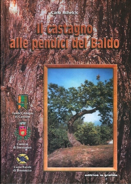Il castagno alle pendici del Baldo.