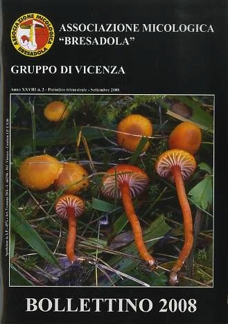 Associazione micologica Bresadola: gruppo di Vicenza. Bollettino 2008.