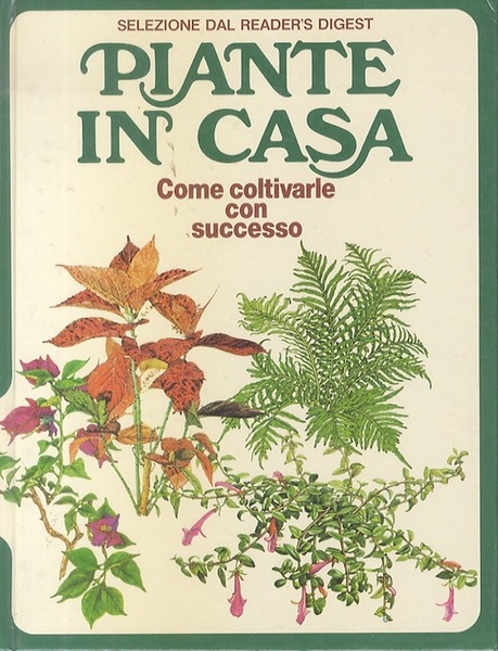 Piante in casa: come coltivarle con successo.