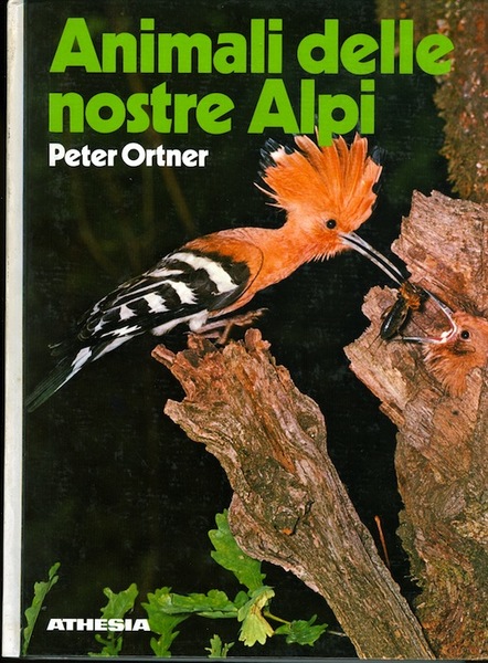 Animali delle nostre Alpi: con particolare riferimento al Sudtirolo.