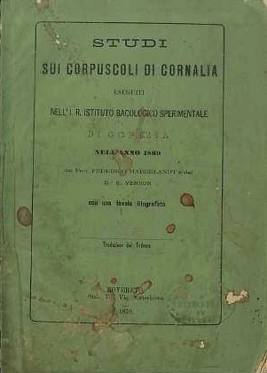 Studi sui corpuscoli di cornalia eseguiti nell'i.r. Istituto bacologico sperimentale …