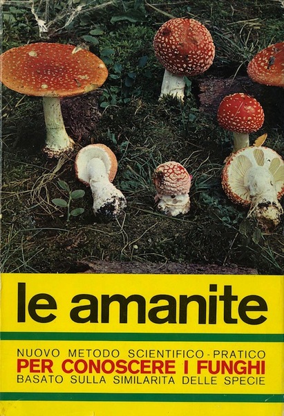 Le amanite: il genere micetico piu spettacolare per colori e …