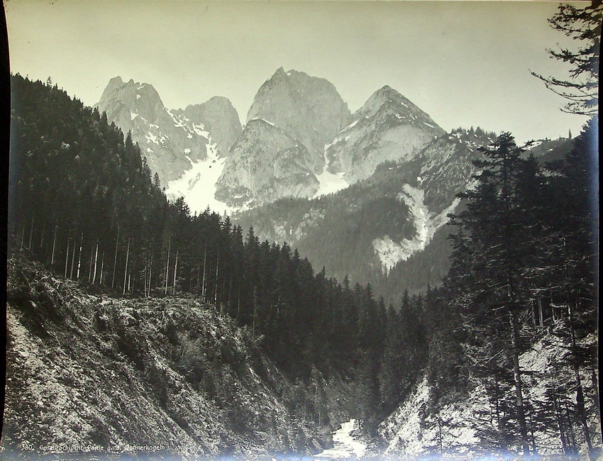 380. Gosau-Schlucht, Partie g.d. Donnerkogeln.