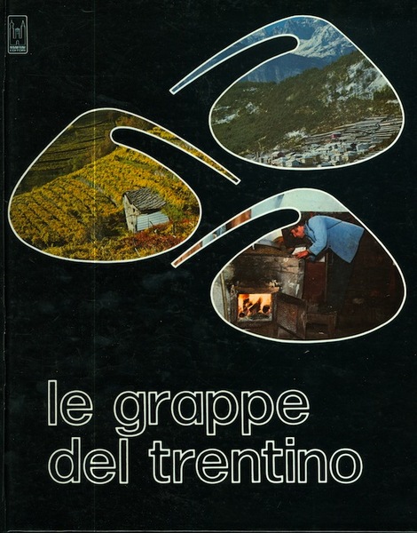 Le grappe del Trentino.