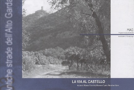 La via al castello.