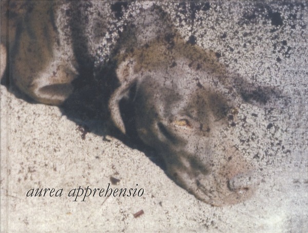 Celestina Avanzini: aurea apprehensio.