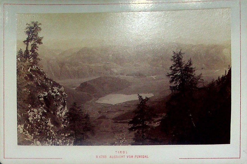 4788. Tirol. Aussicht vom Penegal.
