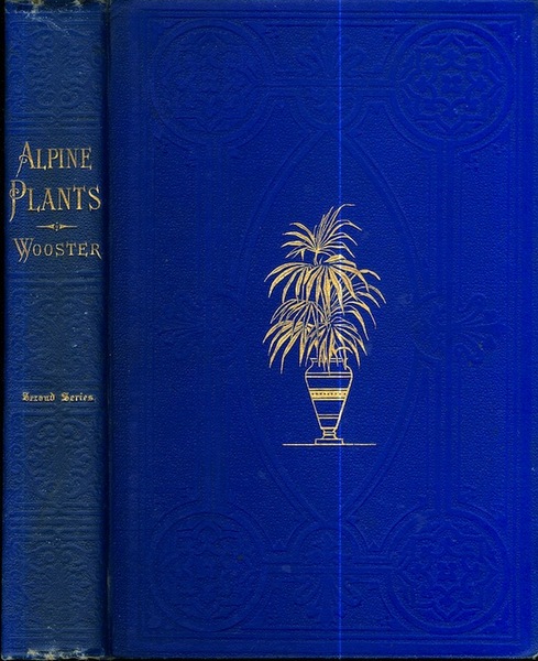 Alpine Plants: figures and descriptions of the most striking and …