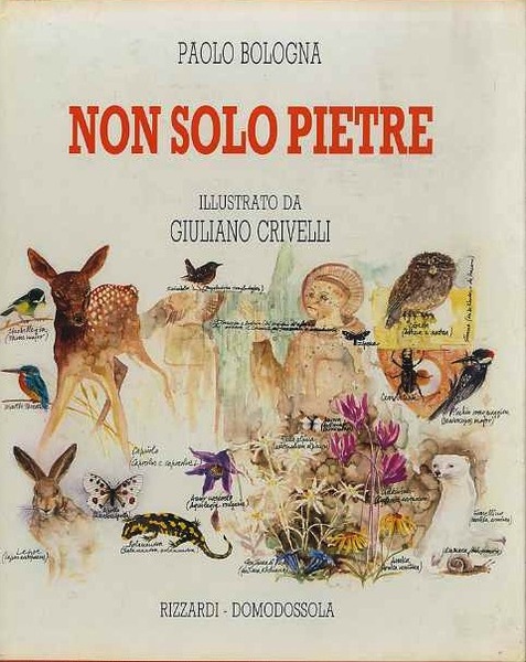 Non solo pietre.