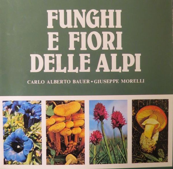 Funghi e fiori delle Alpi.