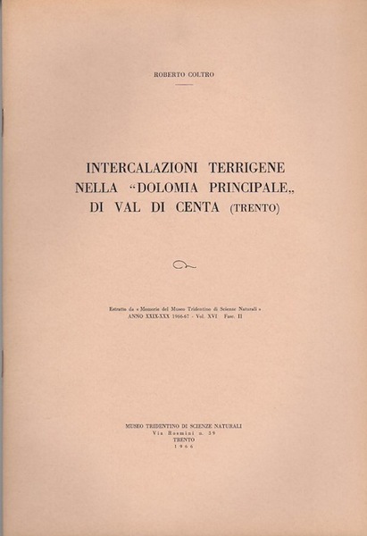 Intercalazioni terrigene nelle Dolomia principale di Val di Centa (Trento).