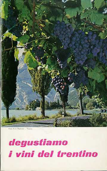 Degustiamo i vini del Trentino.