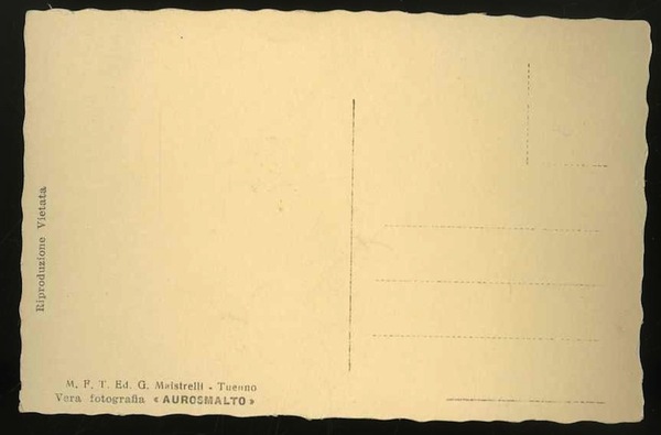 Dettaglio del Lago di Tovel m. 1182 nel Gruppo di …