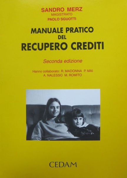 Manuale pratico del recupero crediti.