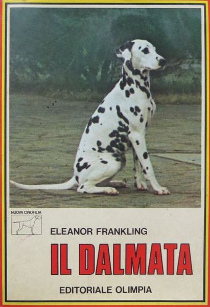 Il dalmata.